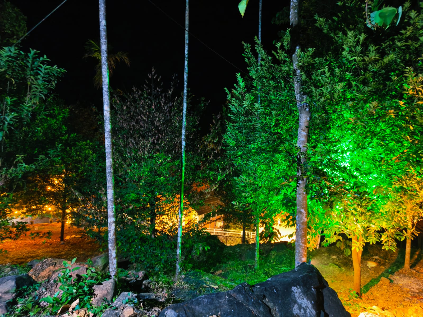 Premium Tree House Cottages thumbnail 6